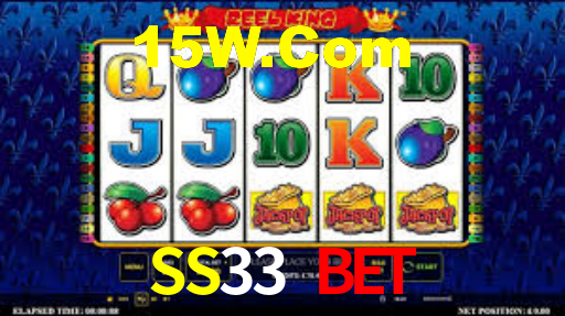 SS33 Login
